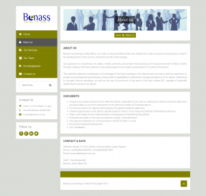 Benass Consulting Limited