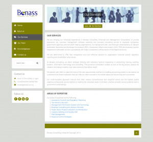 Benass Consulting Limited