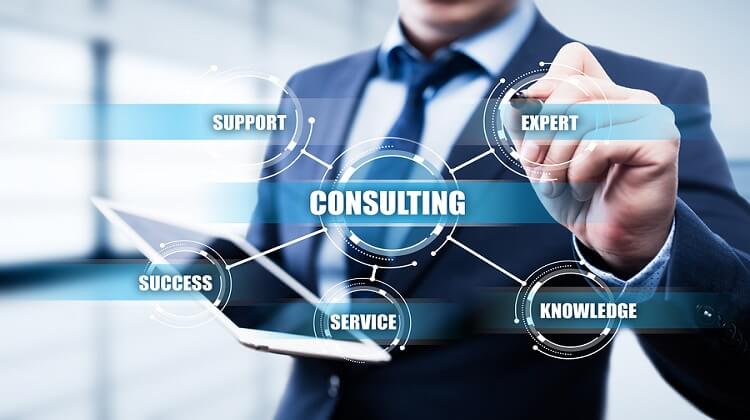 Consulting Services